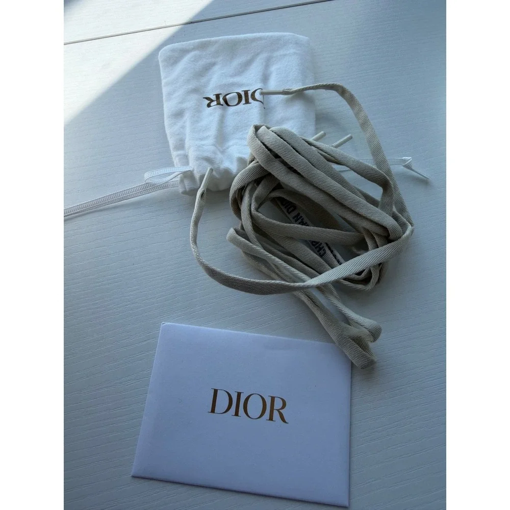 Dior authentic walk